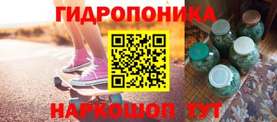 дживик Можга