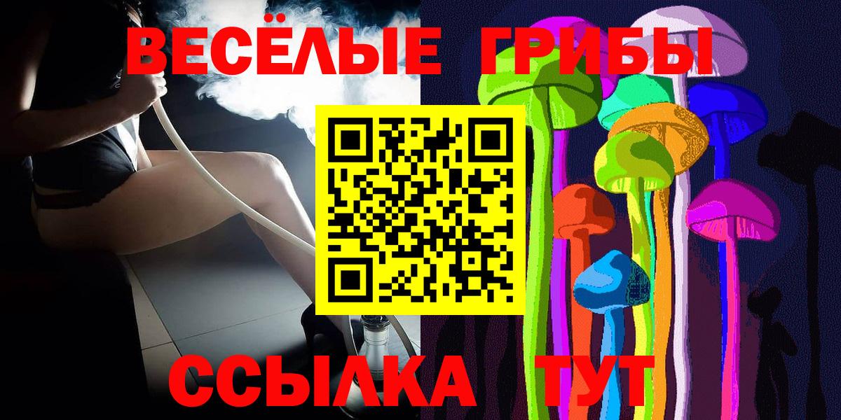 Свободный  закладки  Вход с VPN  Псилоцибиновые грибы Psilocybe 